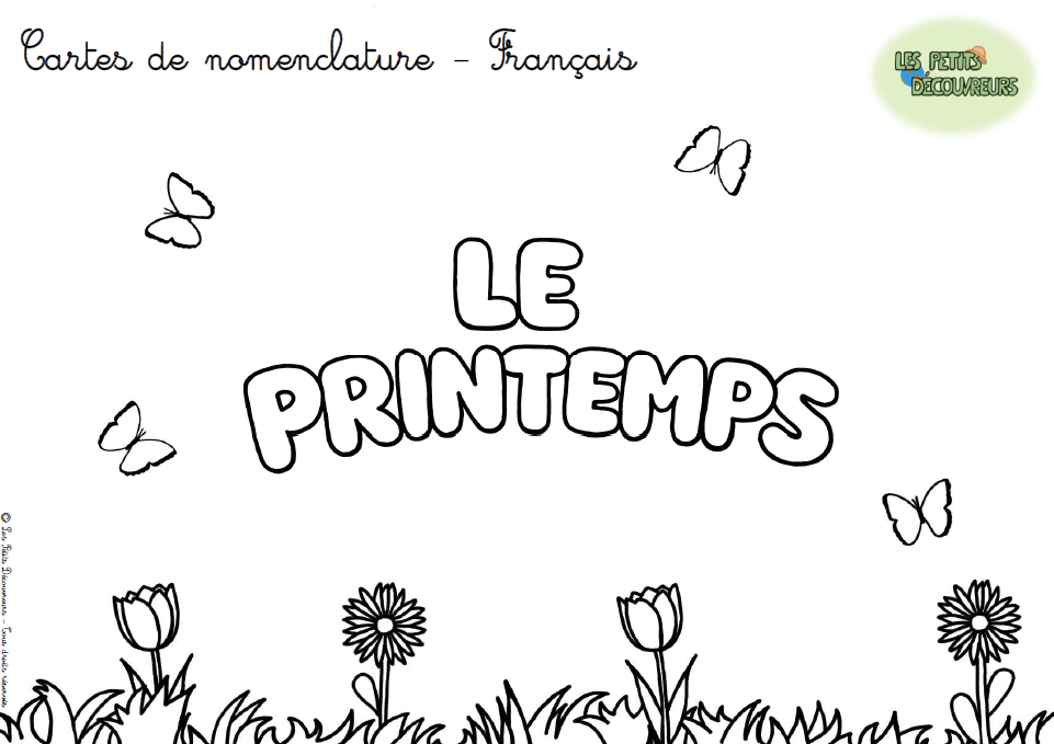 Cartes de nomenclature- Français – Image 4