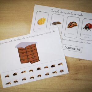 Kit découverte du monde – Français