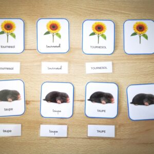 Cartes de nomenclature - Trilingue