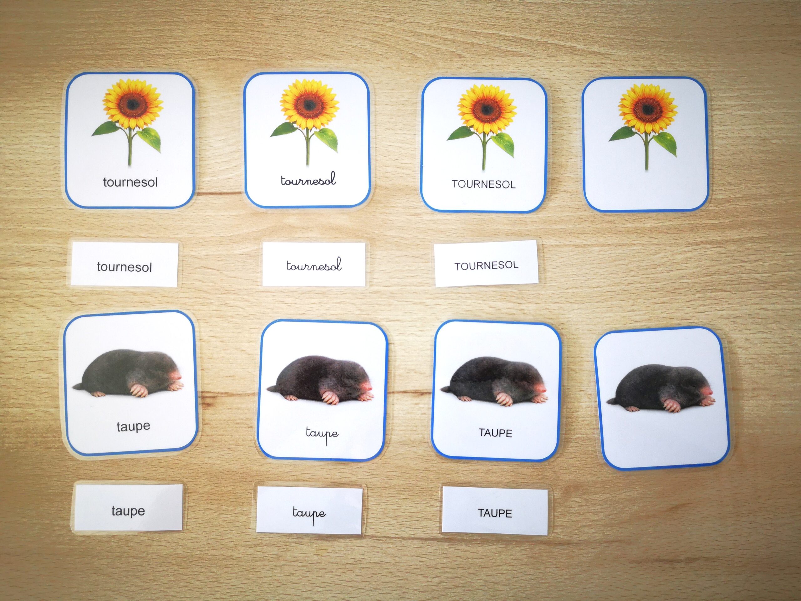 Cartes de nomenclature- Français