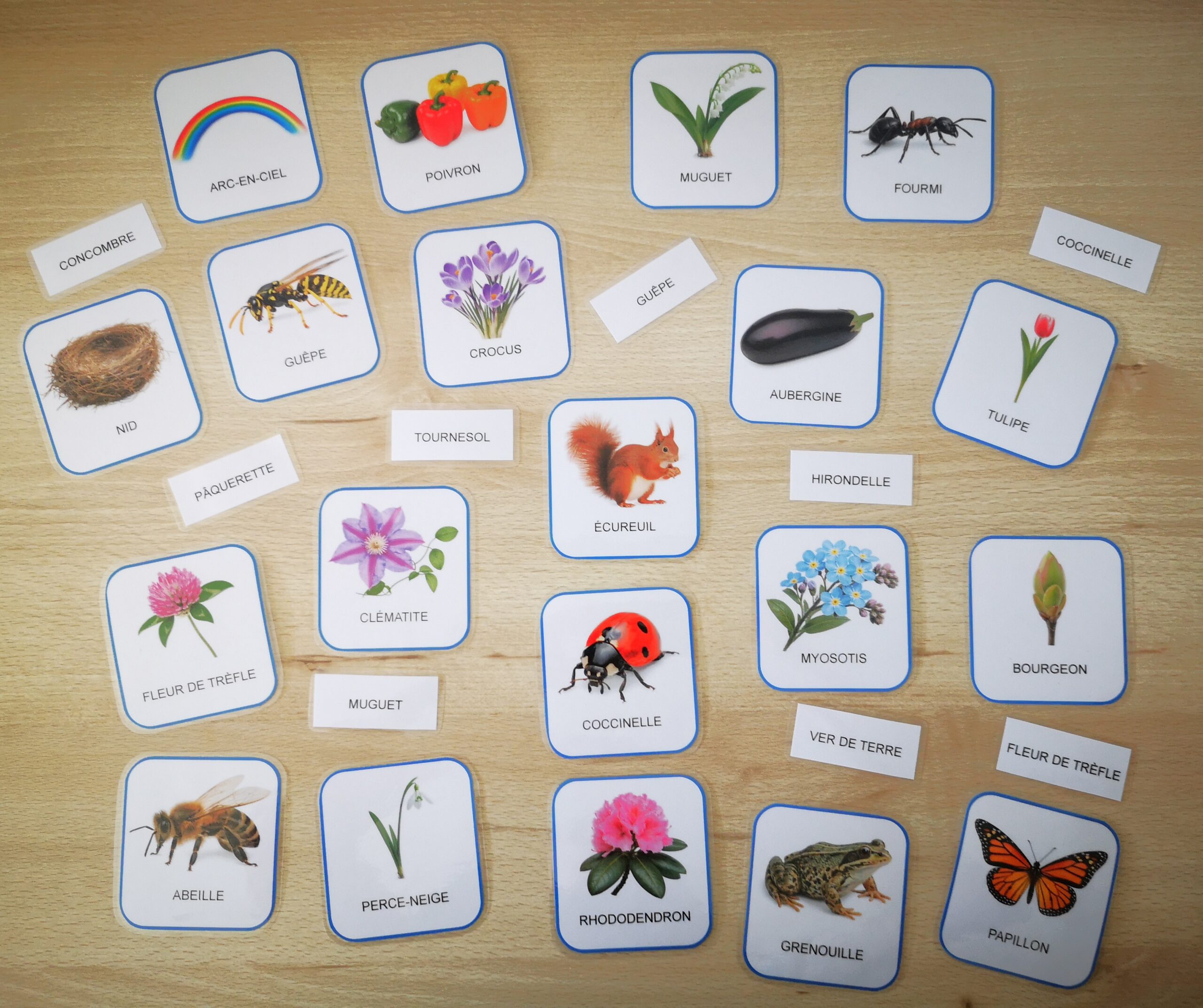 Cartes de nomenclature- Français – Image 3