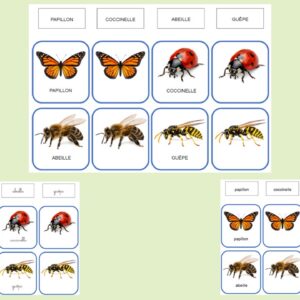 Cartes de nomenclature - Français