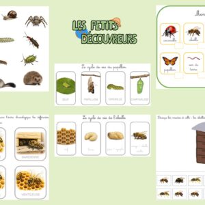 Kit complet – Trilingue
