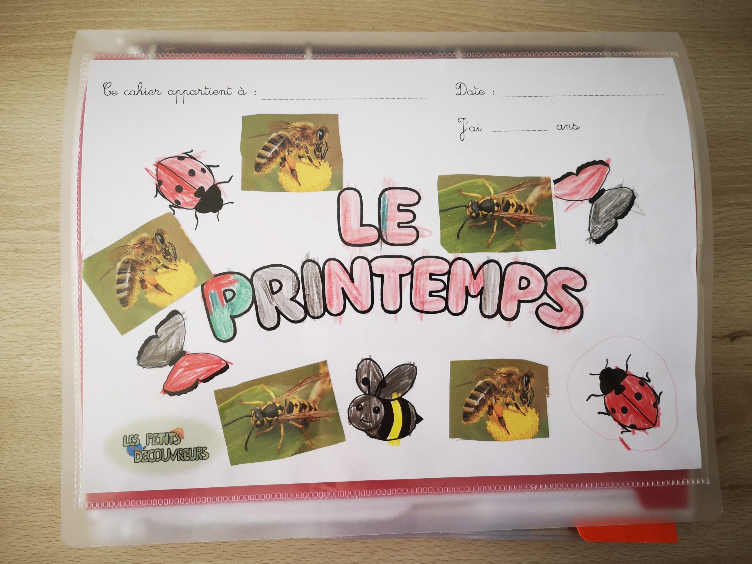 Comment dérouler une thématique avec les kits Les Petits Découvreurs ?