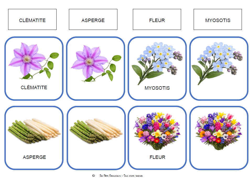 Cartes de nomenclature- Français – Image 7