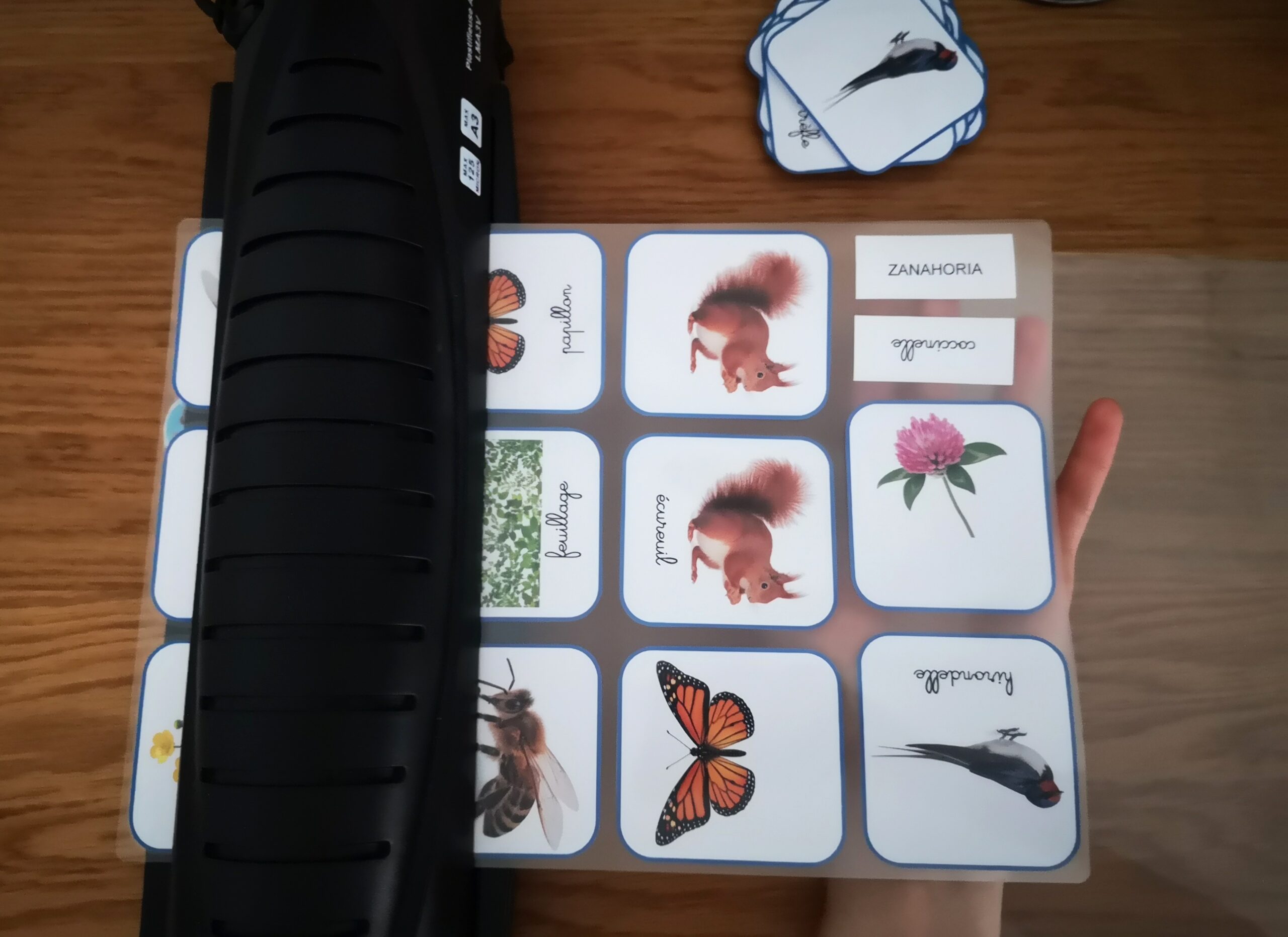 Cartes de nomenclature- Français – Image 5