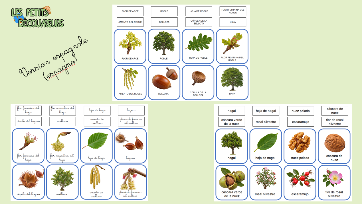 Cartes de nomenclature - Trilingue – Image 4