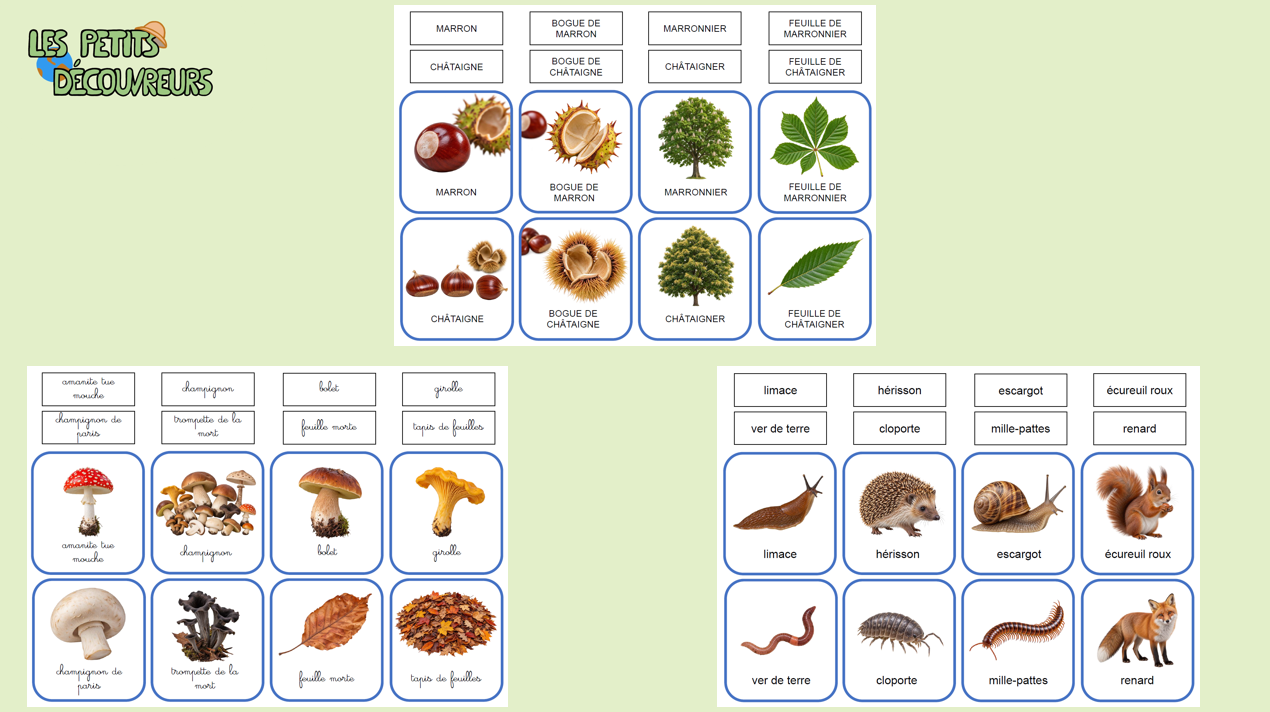 Cartes de nomenclature - Trilingue – Image 2