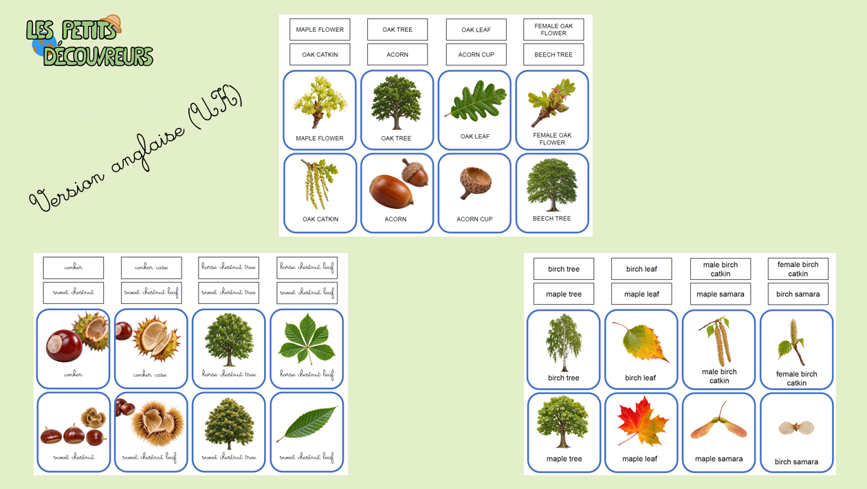 Cartes de nomenclature - Trilingue – Image 3