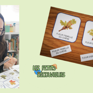 Cartes de nomenclature - Français