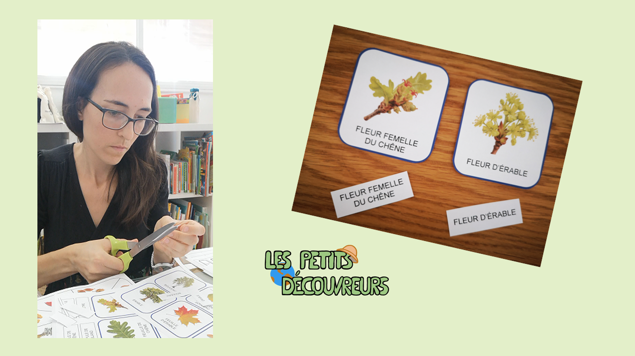 Cartes de nomenclature - Trilingue