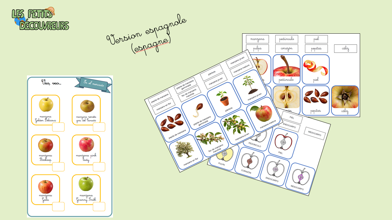 Kit découverte du monde – Les pommes – Image 2